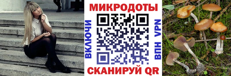 Галлюциногенные грибы GOLDEN TEACHER  закладки  Чайковский 